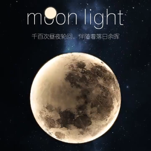 Đèn Mặt Trăng Phong Cách Bắc Âu Đèn Led Mặt Trăng Decor Trang Trí Đèn Gắn Treo Tường Ốp Trần Nhà