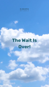 Cahaya Naturals Physical Sunscreen SPF 50+ PA+++ dengan 4x Barrier Protection dari UV dan Polusi | Sunscreen Bayi Anak & Keluarga