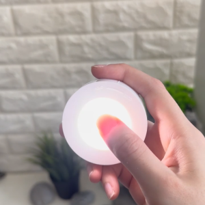 OSUKI LED Portable Stick Tap Touch Light Lamp