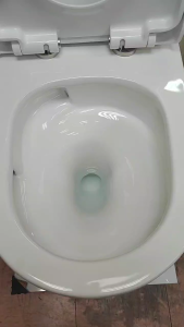 [CDC SG60] W898 Baron One Piece White Toilet Bowl with Tornado Flushing System