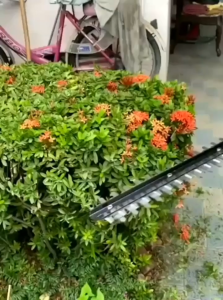 โปรโมชั่น มาใหม่ เครื่องตัดแต่งกิ่ง เลื่อยแต่งกิ่ง Makita 229v ใช้สำหรับแต่งกิ่ง รั้วต้นไม้ ใช้งานง่าย ครบจบที่เดียว