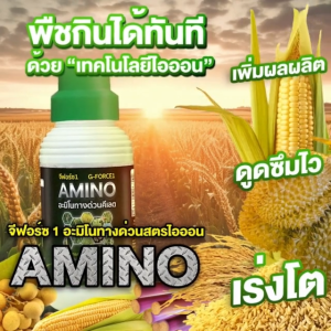 Gด่วน อะมิโนทางด่วน เล็กระดับไอออน เล็กกว่าระดับนาโนถึง 10 เท่า ดูดซึมไว พืชใช้ได้ทันที