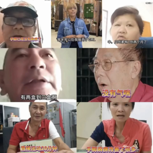 【一个疗程GML冠脉宁 + 送活络油 】【官方现货】纯正中草药丸