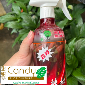 (SG Seller) Natural Insect Repellents Chili Water 500ml