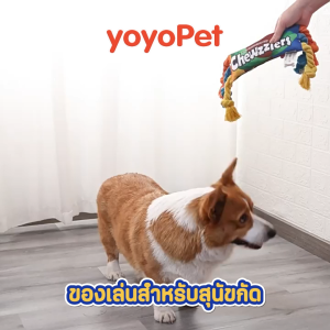 yoyopet : แผ่นกัดสุนัข ของเล่นหมา มีเสียง ของเล่นหมา แมว เชือกกัดสุนัข สินค้าพร้อมส่ง