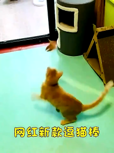Kalung Mainan Bulu Interaksi Kucing Cat Teaser Stick Pet Toys