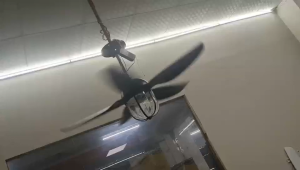 MYKE ODF2023-1 Ceiling Fan (Indoor & Outdoor) (48") (Black) (2 yrs Warranty)