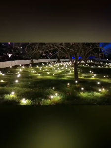 Lampu Taman Tenaga Surya Dekorasi Taman Lampu Rumput Tenaga Surya LED Lampu Kunang-kunang Lampu Hias Taman Halaman Lampu Taman Rumput Lampu Tanah Luar Ruangan Balkon Taman Lampu Suasana Lanskap Tahan Air Non-listrik