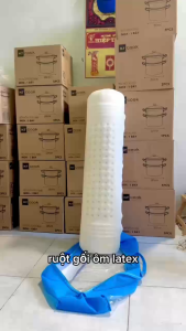 RUỘT GỐI ÔM CAO SU ÊM ÁI THOÁNG KHÍ HÀNG VIỆT NAM 20X90CM