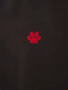 Interactive Laser Cat Toy | Bright LED Patterns | Pet Wand with Animation Light | Battery Operated Kitty Teaser