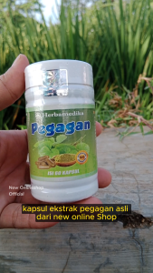 Suplemen Penguat Ginjal dan Vitamin Otak - Kapsul Pegagan Asli isi 60 Kapsul