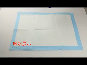 แพมเพิสแมว - แผ่นรองฉี่สุนัขแมว ช่วยฝึกขับถ่ายซึมซับได้ดีกักเก็บกลิ่น แพมเพิสแมว