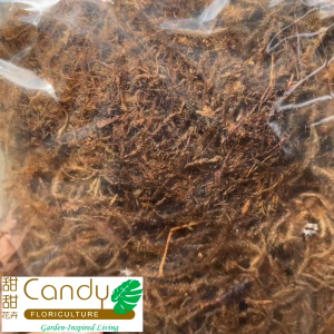 (SG Seller) Sphagnum Moss (Usagi)