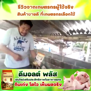 อาหารหมู DMOLT PLUS  ดีมอลต์ พลัส