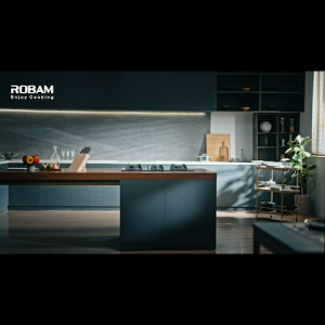 [NEW LAUNCH ] ROBAM Fire Cube Gas Hob 9B6H31