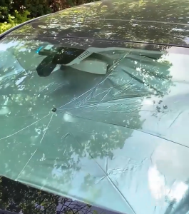 Car Window Sun Shade Car Windscreen Sunshade Car Sun Shield Umbrella Auto Shade Cover Sun Protection Window Cover 汽車遮陽