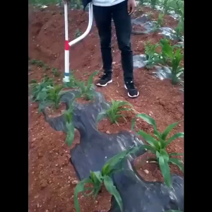 เป้หยอดปุ๋ย เครื่องหยอดปุ๋ย ไม่ต้องก้มใส่ปุ๋ยอีกต่อไป ประหยัดเวลาและความพยายาม กระเป๋าใส่ปุ๋ย เป้หยอดปุ๋ย