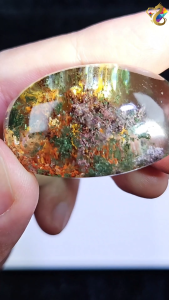 Collectors Grade Brazil Starry Sky Forest Garden Phantom Quartz Display Pendant