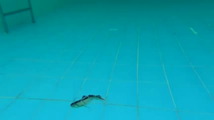 Automatic Swimbait Robotic Electric Fishing Lure Auto Multi Jointed Bait USB Rechargeable Wobbler