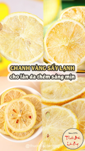Chanh vàng sấy thăng hoa 500g trà chanh vàng sấy giòn không tẩm đường dùng pha trà detox - Lãn Ông