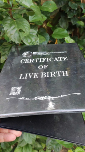 NSO holder/Birth Certificate Holder cod cod cod (Black)