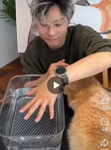 Pet spray massage comb pet supplies pet comb cat hair comb combing tool 宠物喷雾按摩梳 宠物用品 宠物梳子 猫毛梳子