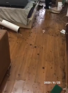 Insecticide Fumigant 杀虫烟剂 消灭蚊虫 (25 g X 6 pcs) 蟑螂 蚂蚁 适合家居 车内 房间 厕所 Insecticide Roach Cockroach Mosquito Fly Smoke Fumigation