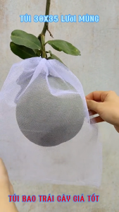 100 cái 25x30cm TÚI LƯỚI TỐT BAO BỌC CHÙM MẬN TRÁI BƯỞI DƯA LƯỚI CHÙM MẬN... - VẬT TƯ NÔNG NGHIỆP