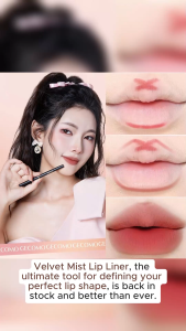 GECOMO Lip Liner Pen Velvet Mist Matte Smooth Outlines Lip Line Makeup Plump Perfect Lip Shape