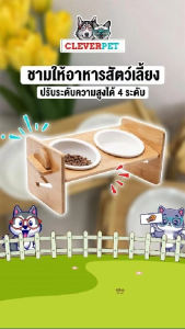 CleverPet ชามให้อาหารแมว พร้อมขาตั้งไม้ ชามแมวยกสูง ชามอาหารหมา สุนัข สัตว์เลี้ยง Bamboo Pet Food Bowl