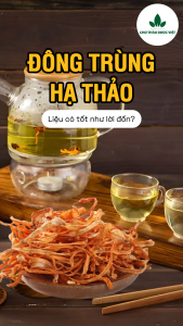 Đông trùng hạ thảo 100g trà đông trùng sợi vàng khô thơm dùng pha trà chưng yến nấu lẩu hầm canh