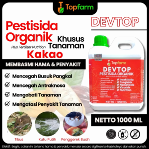 Obat Hama Kakao Paling Ampuh