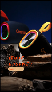 Orashare BS08 PLUS  ลำโพงบลูทูธ ลำโพงพกพา ลำโพงเบส กำลังไฟสูง20W เสียงHIFI ไฟRGD ลำโพงสเตอริโอ รองรับ USB/TF/AUX ลำโพงกลางแจ้ง แบบพกพากันน้ำ