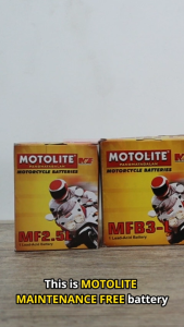 Motolite Maintenance-Free MFYB3L