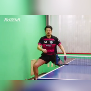 Butterfly Rozena Table Tennis Rubber