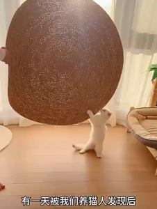 Natural Papyrus Mat Suitable for All Seasons Round Rattan Cat Scratch Board Cat Scratching Pad No Dandruff Pet Cat Supplies