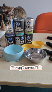 KUCINGJER Sniffly Cat Canned Food 400g Cat Wet Food Grain Free Real Meat Pate Cat Food Makanan Kucing Basah 猫罐头