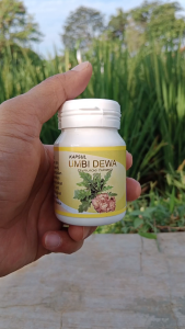 Kapsul Umbi Dewa: Obat Penghancur Gumpalan Darah & Pelancar Darah