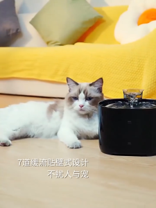 Dispenser Minum Hewan Otomatis: Solusi Praktis untuk Kucing & Anjing