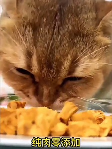 WaggyWaggy Duck Cube Freeze Dried Treats Booster Gemok Repacked Pet Snacks Cat Dog Gemuk SNA0005