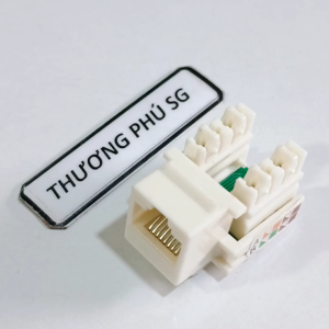 Đầu âm tường RJ45 Cat 5e (Ruột đầu mạng RJ45) / Chuẩn Cat 5e Hiêụ AMP