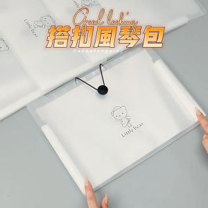 A4 Classified Storage Folder 12 Layers Expending File Folder Transparent File Organizer with Button for Office School