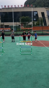 Bola Pengganti Tangga: Pilihan Olahraga Rekreasi Indoor