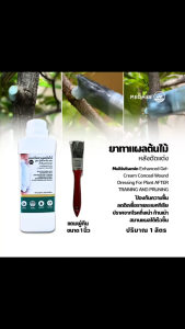 ยาทาแผลต้นไม้ ขนาด 1 L ลดผลกระทบการติดเชื้อรา แบคทีเรีย ป้องกันการสูญเสียน้ำและกักเก็บความชุ่มชื่นไว้กับเซลล์พืชได้อย่างมีประสิทธิภาพ