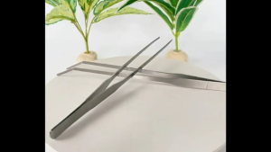 ฟอเซป Forcep ปากคีบ แหนบตู้ปลา สแตนเลส ปลายตรง ปลายโค้ง ชุด2ชิ้น 14cm 25cm 30cm