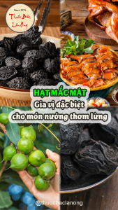 Hạt móc mật 1kg (quả mắc mật khô đặc sản Tây Bắc gia vị thơm ngon cho các món ăn)
