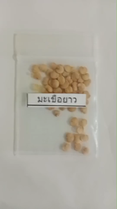 เมล็ดพันธุ์มะเขือยาว ซองละ 5 บาท