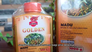 Madu Golden Ath-Thoifah / Madu Hutan Akasia Plus Murni Asli
