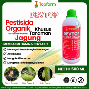 Pengendali Hama Jagung: Cara Menggunakan Obat Semprot Hama Ulat Jagung