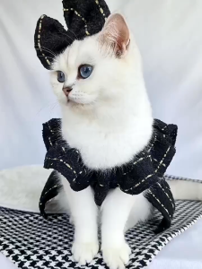 Whisker 3pcs Summer Pet Clothes for Dog Shitzu Teddy Flying Sleeve Skirt Dog Birthday Clothes Stripe Clothe Corsage Set Dress for Cat Female